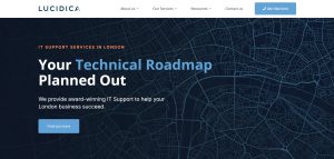 Lucidica IT Support